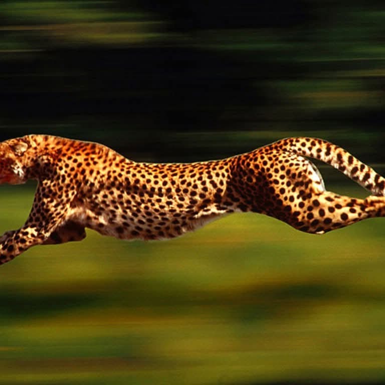 Booth & Witherspoon Investments hustles for you .... 